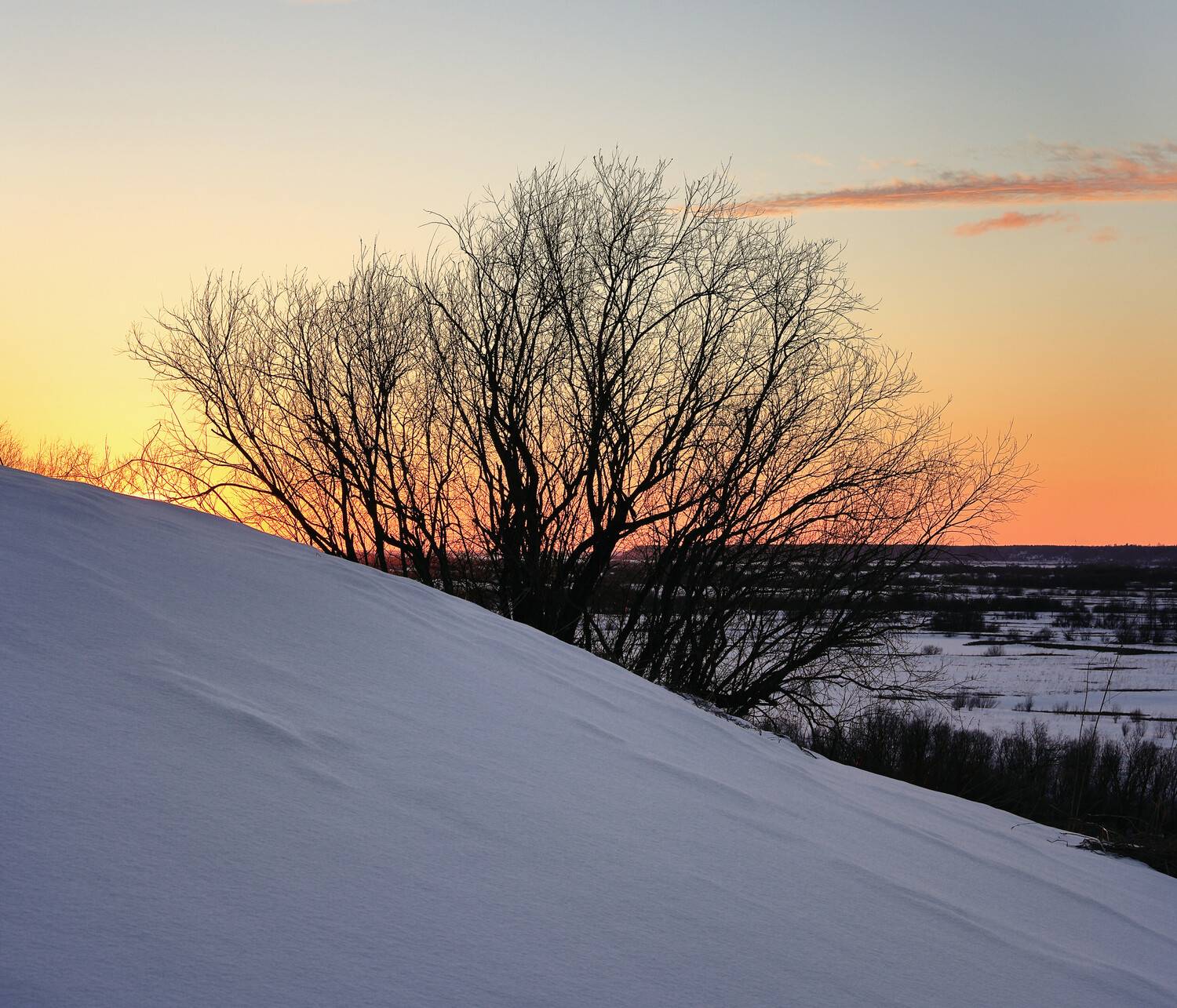 , Александр Титов