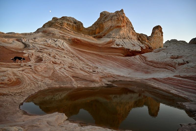Landscape, USA, Arizona, White Pocket, Travel, Colorful Rocks, Patterns, Dog,  Когда на небе взошла луна... фото превью
