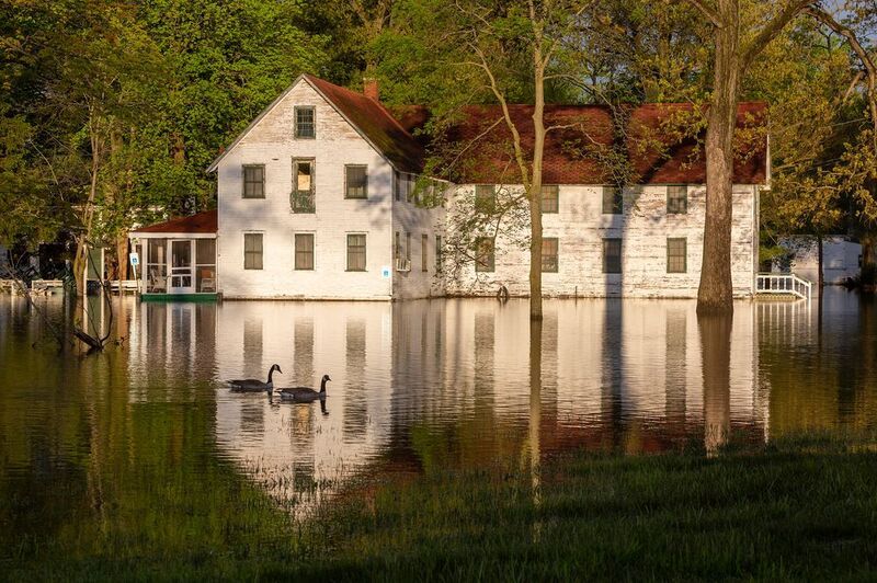 After Strong Rain фото превью