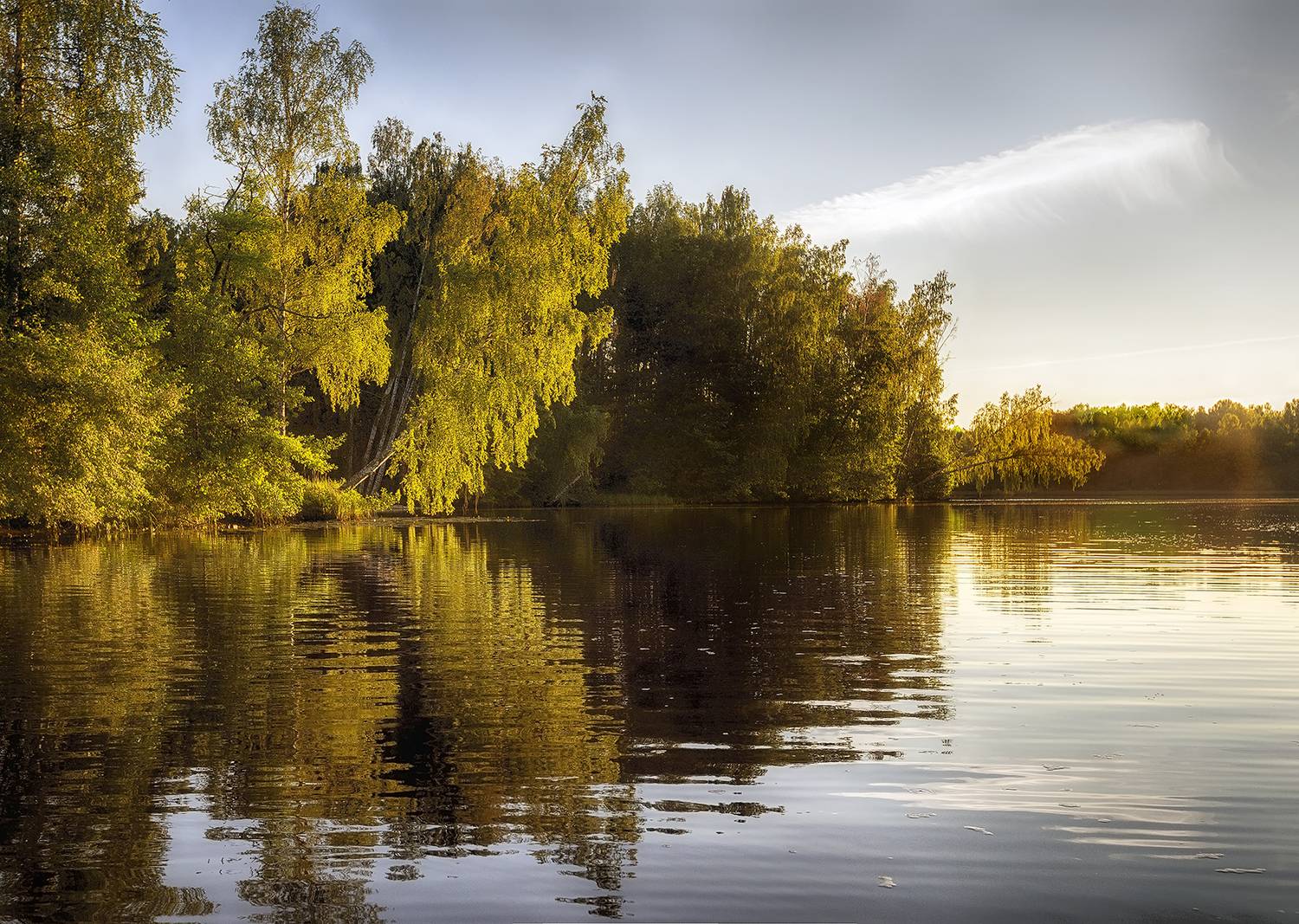 , Сергей Аникин