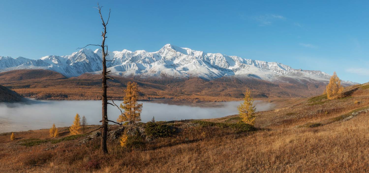 , Сергей Молоков