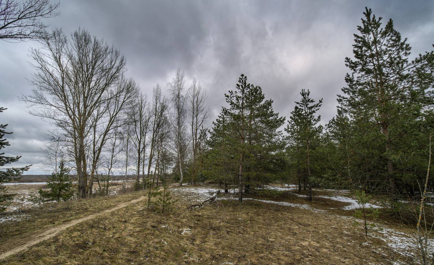 , Шитов Александр