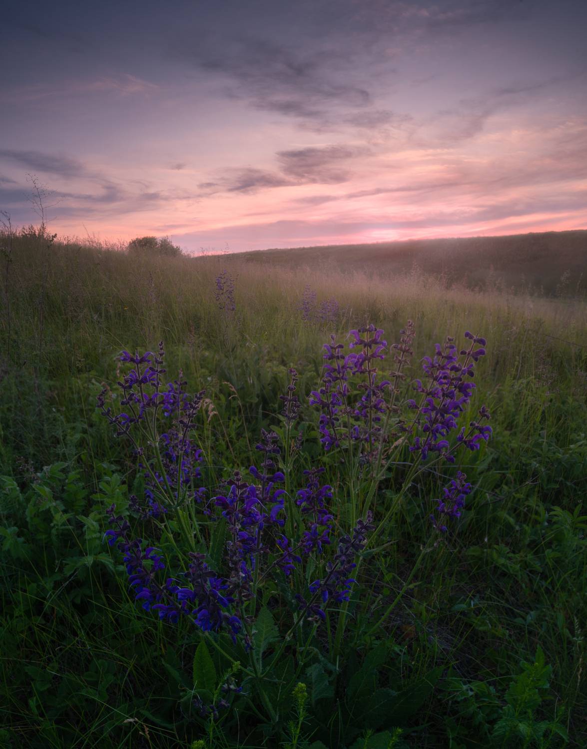 , Кузнецов Семён