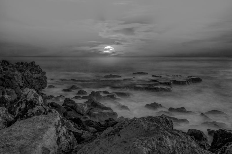 Пейзажи в монохроме фото превью