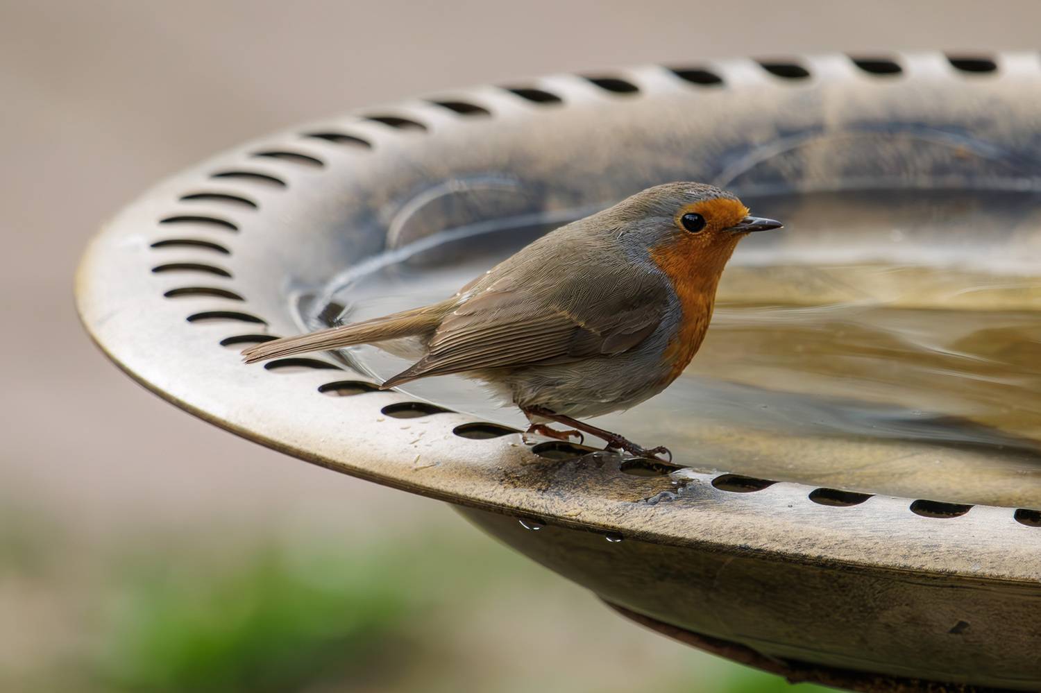 , Морозов Сергей