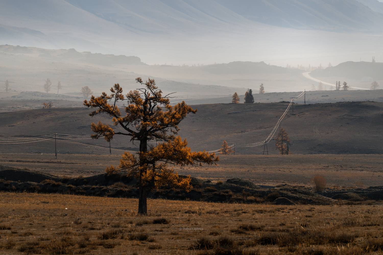 алтай, чуйский тракт, Юлия Лаптева