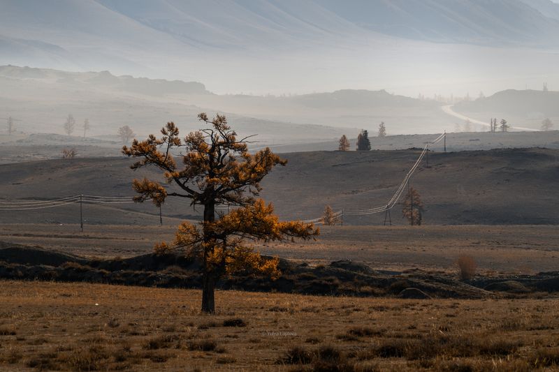 алтай, чуйский тракт \