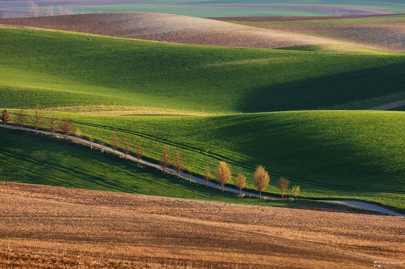 Road Among the Fields фото превью