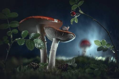 Сказка на ночь