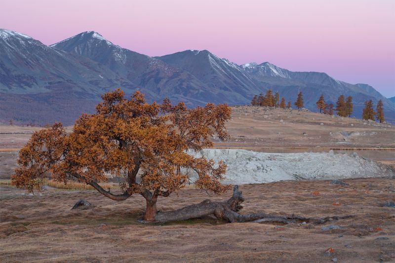 Монгольский Алтай фото превью