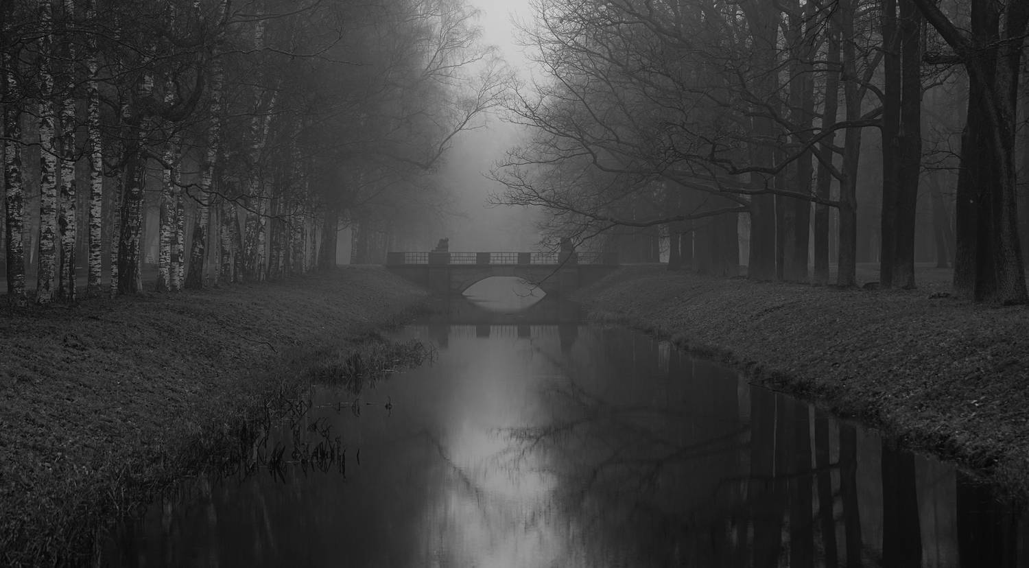 ,  Сергей Андреевич