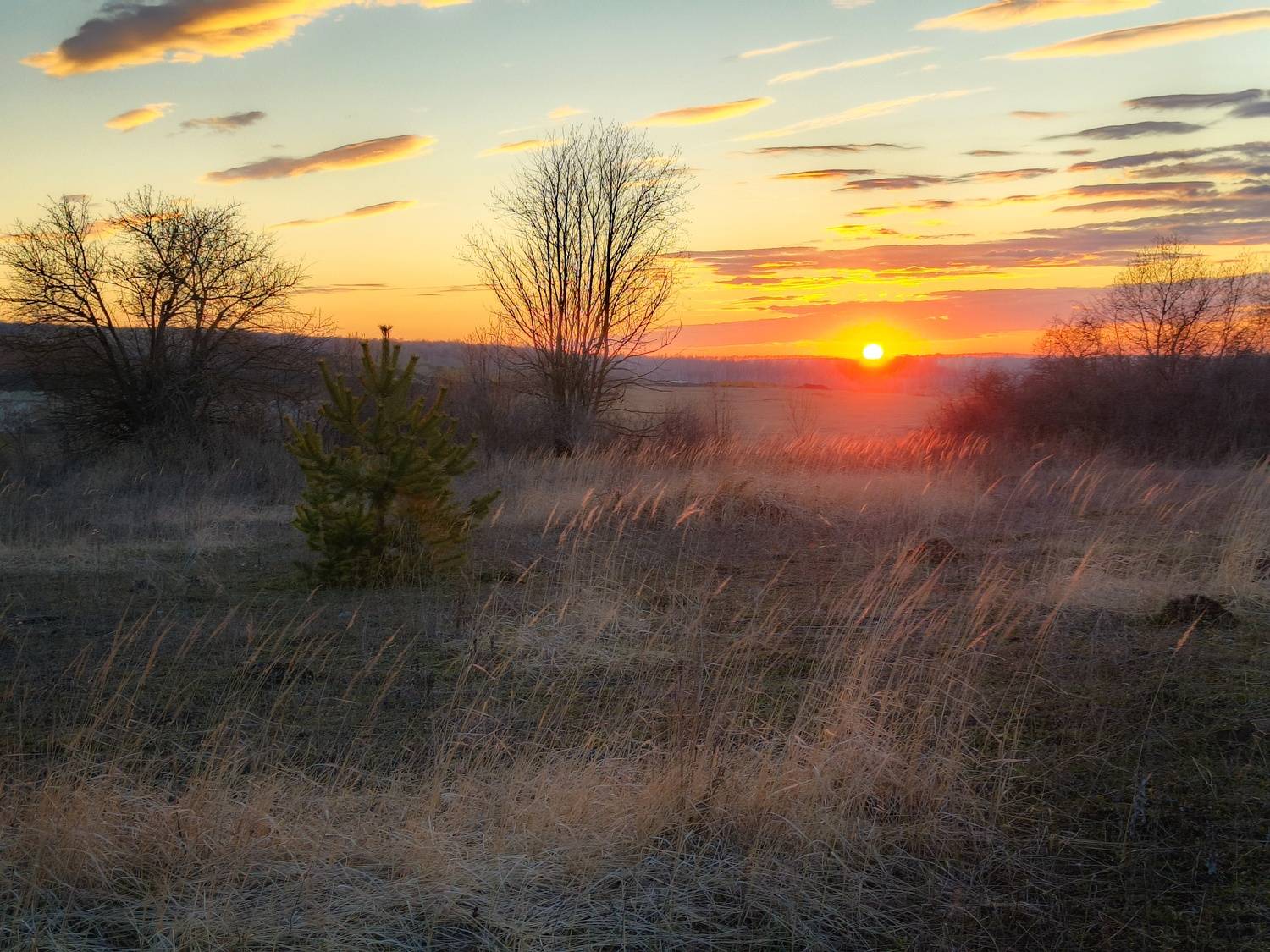 , Кондрашова Светлана