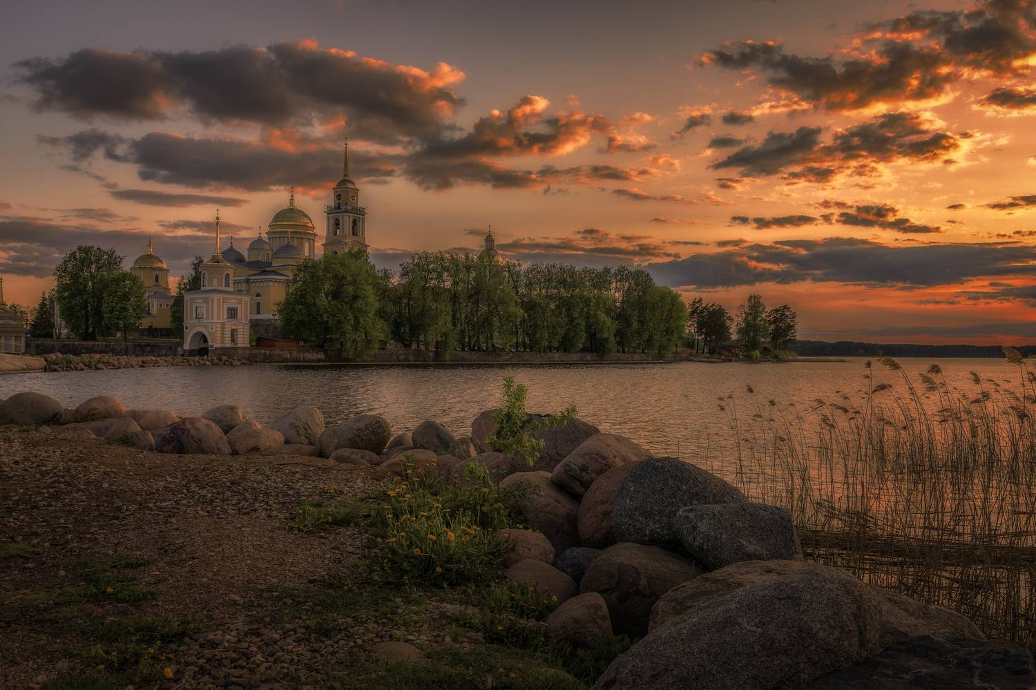 тверская, область, Гусева Елена