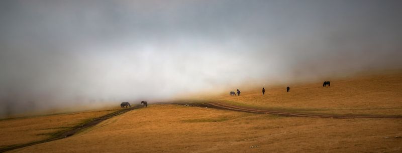 туман надвигается фото превью