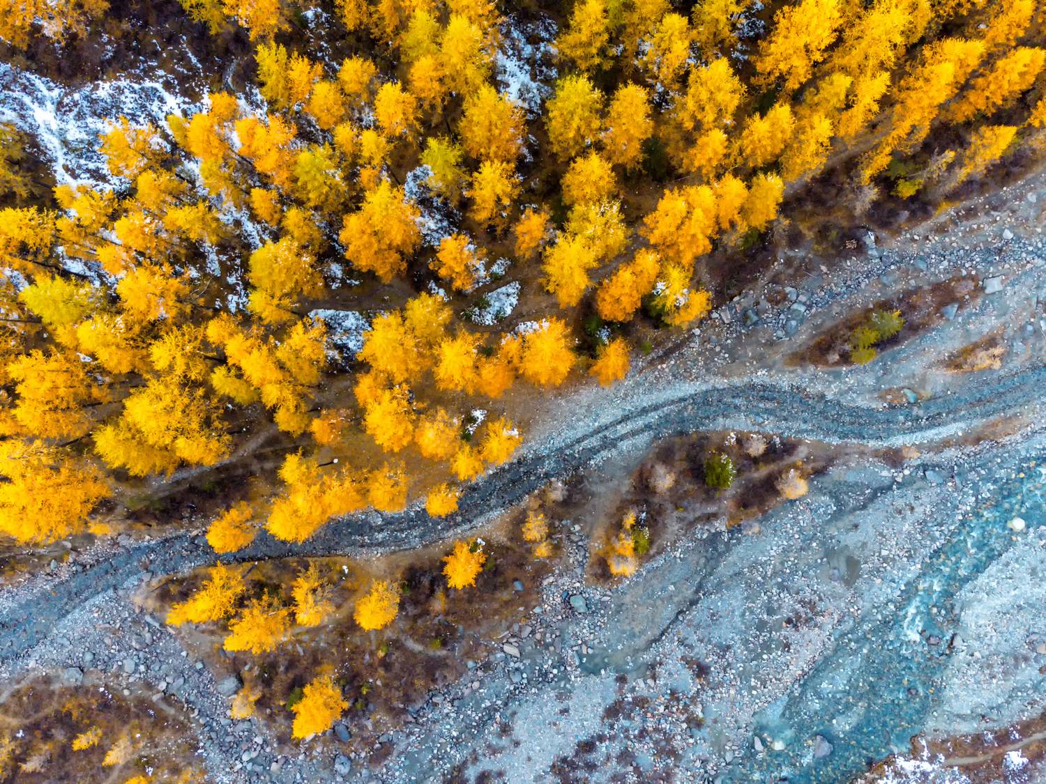 , Лариса Дука