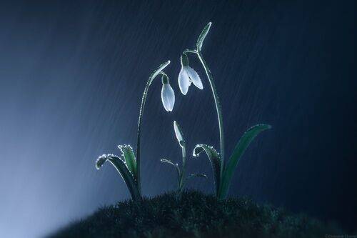 Любящая среда