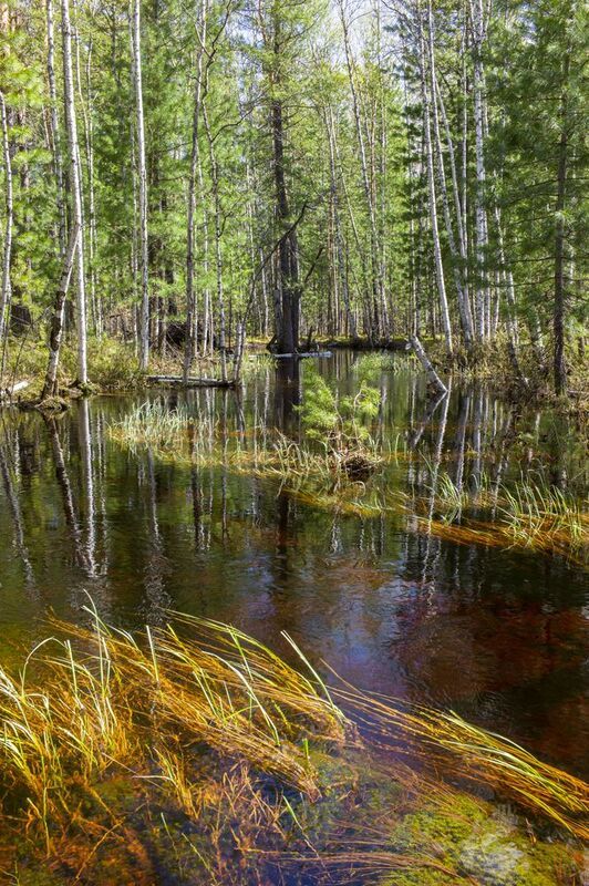 \\\\ фото превью