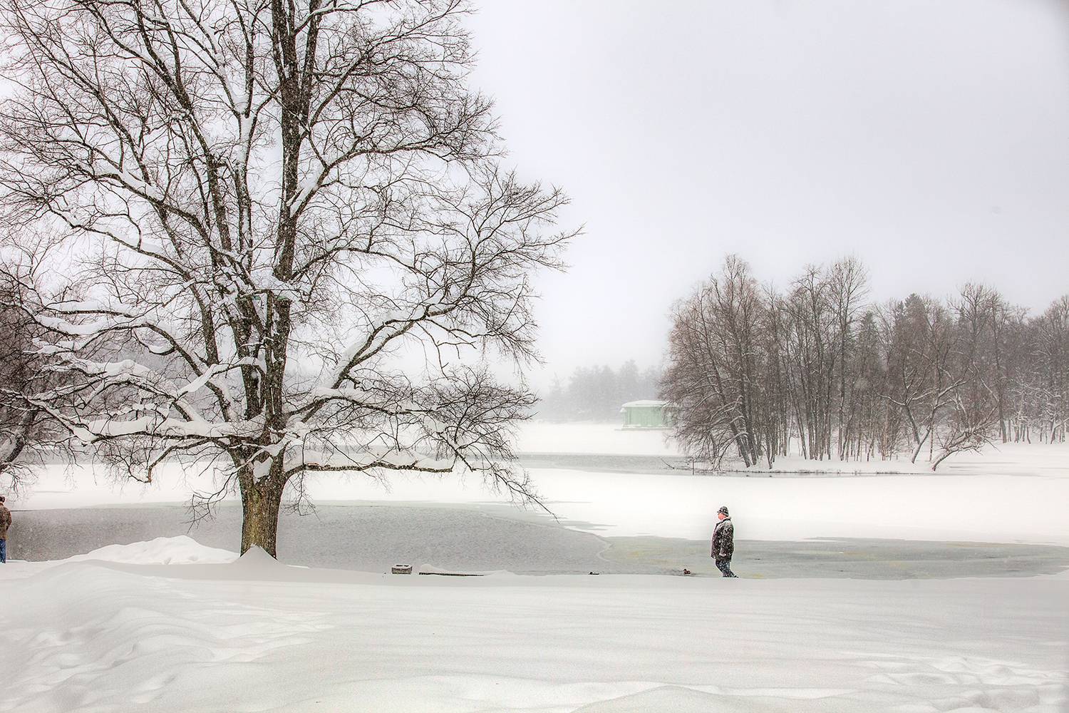 ,  александр михайлов