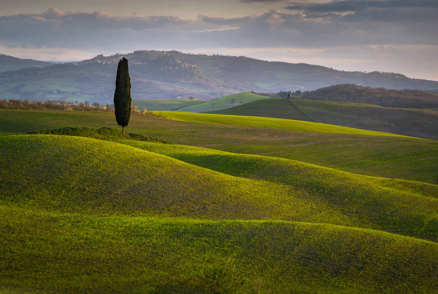 , Алекс Римский
