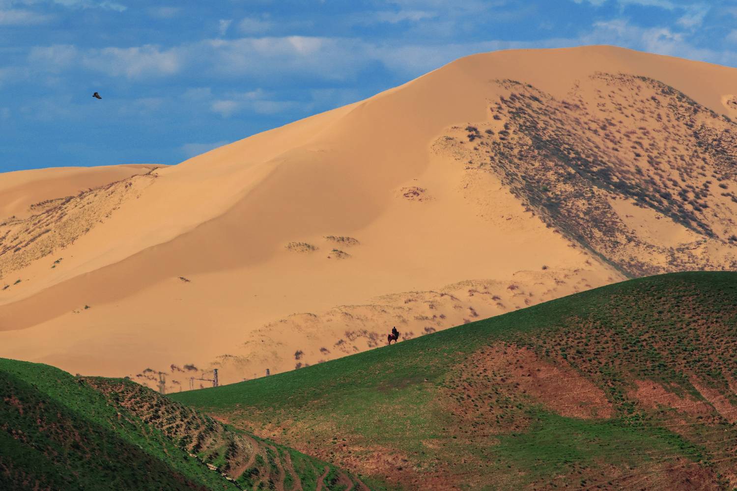 бархан сары кум,песок,песчаная гора,дагестан,пейзаж,, Magov Marat