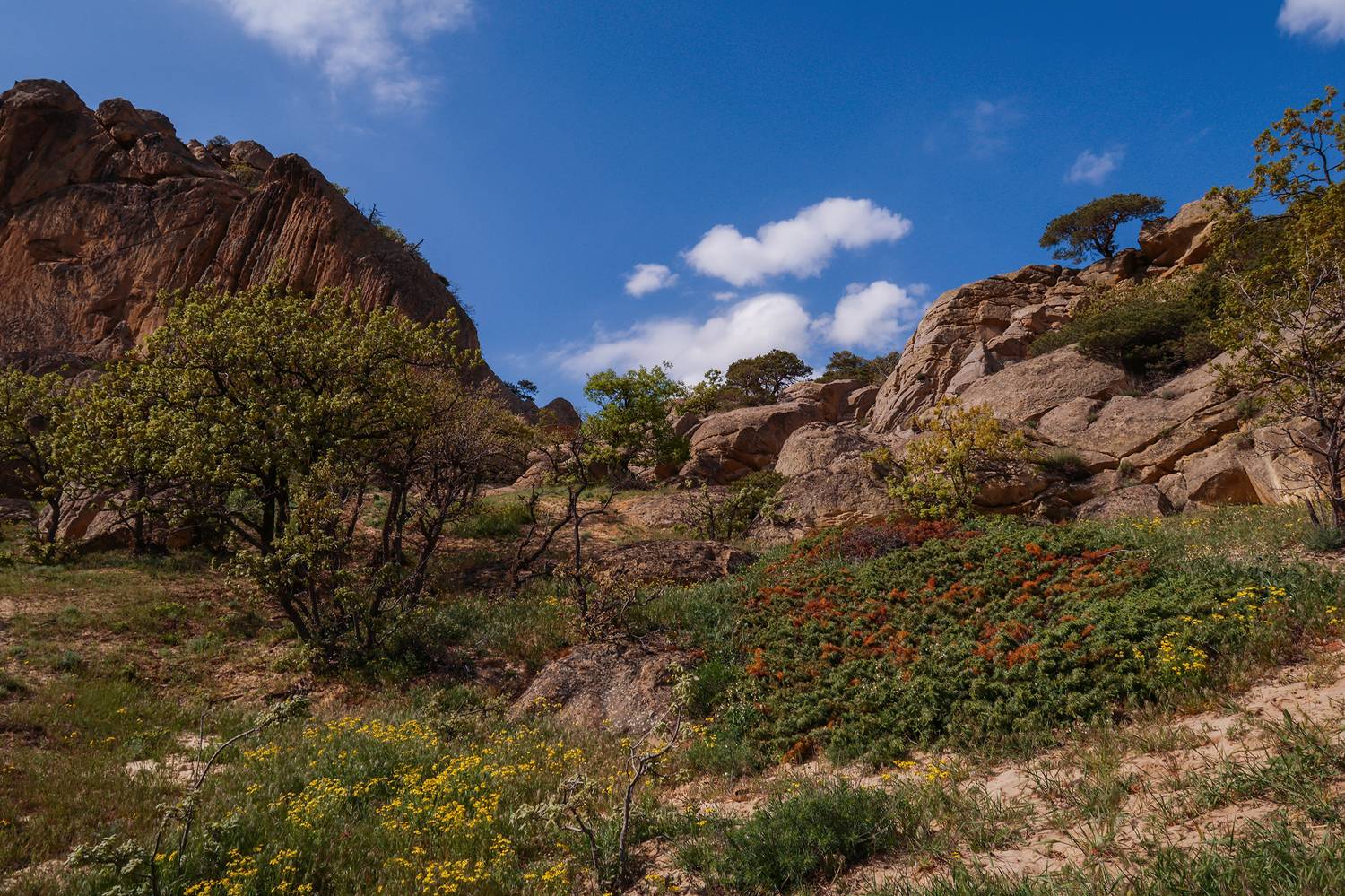 весна,пейзаж,горы,дагестан,, Magov Marat