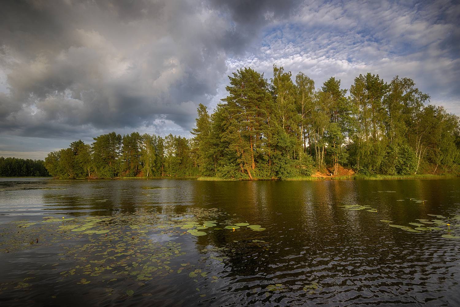 , Сергей Аникин