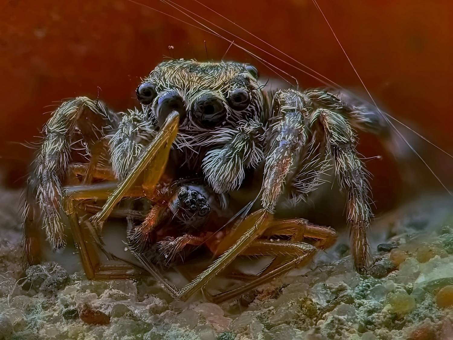 , Кузнецов Дмитрий