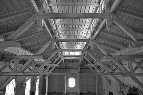 Крона нашего древа