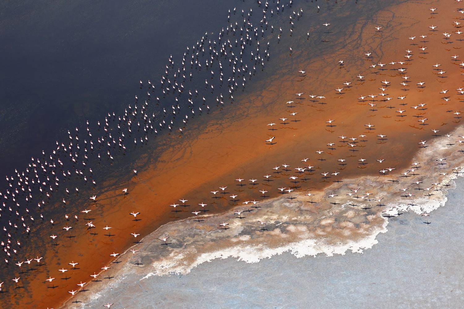 , Гудков Андрей