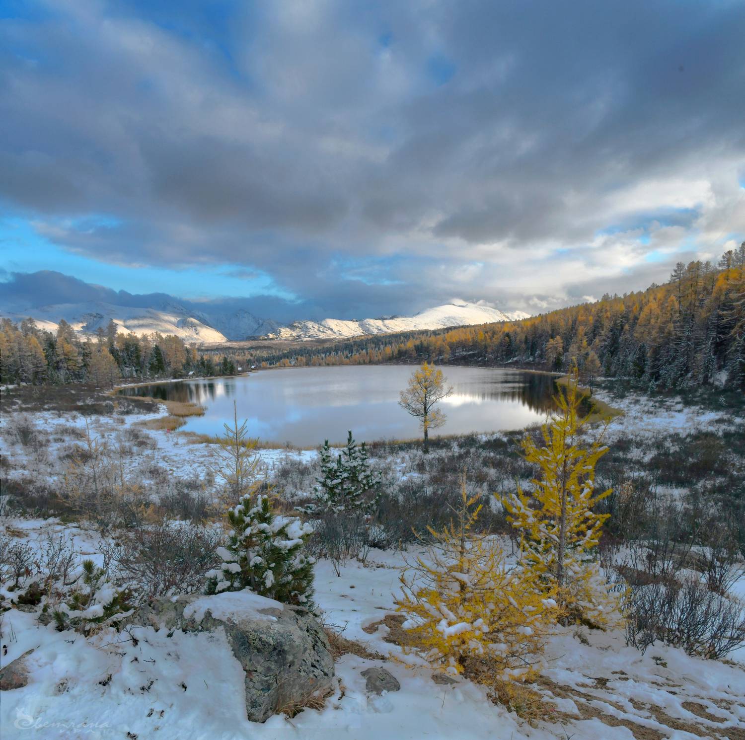 , Крат Светлана