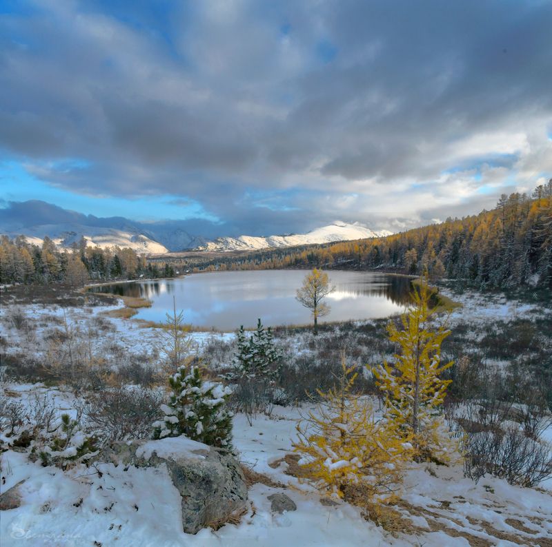 Между осенью и зимой фото превью