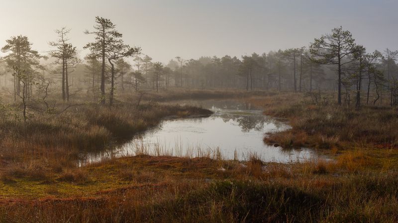Формы и линии фото превью