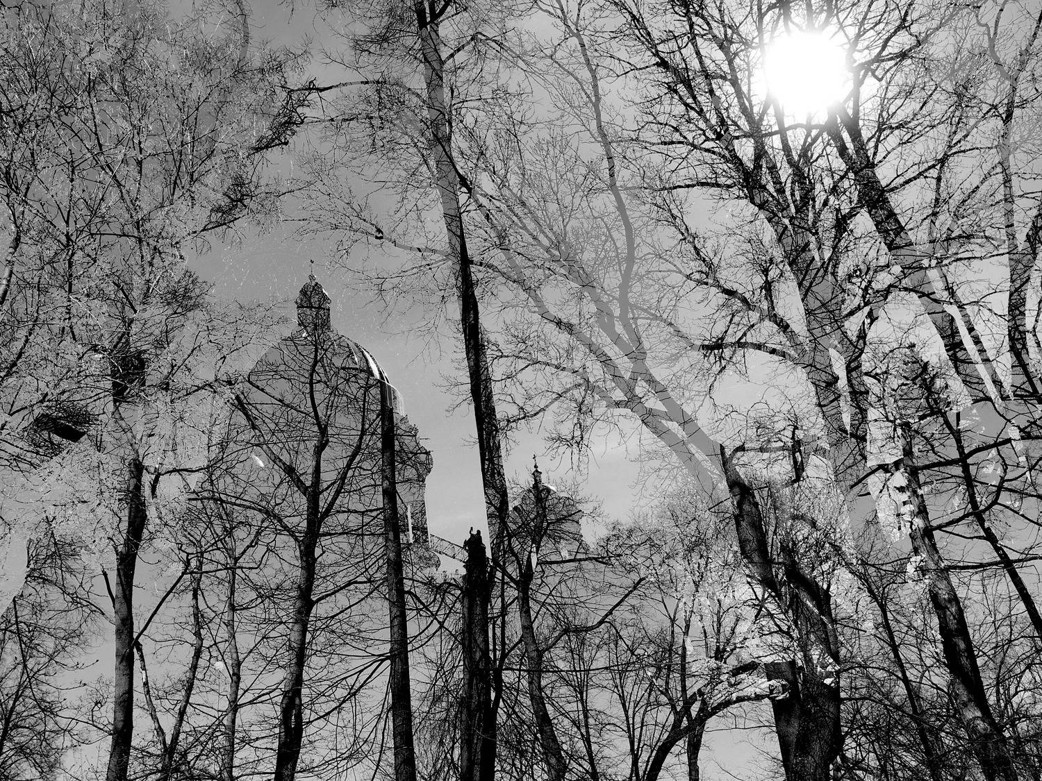 , Антон Лаба