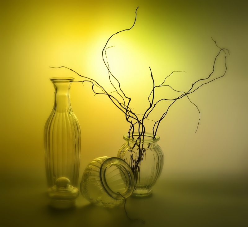 натюрморт,композиция,свет,ветки *** фото превью