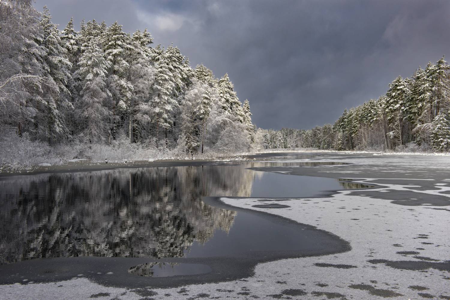 апрель половодье снег свет утро суходол серково, Алексеев Дмитрий