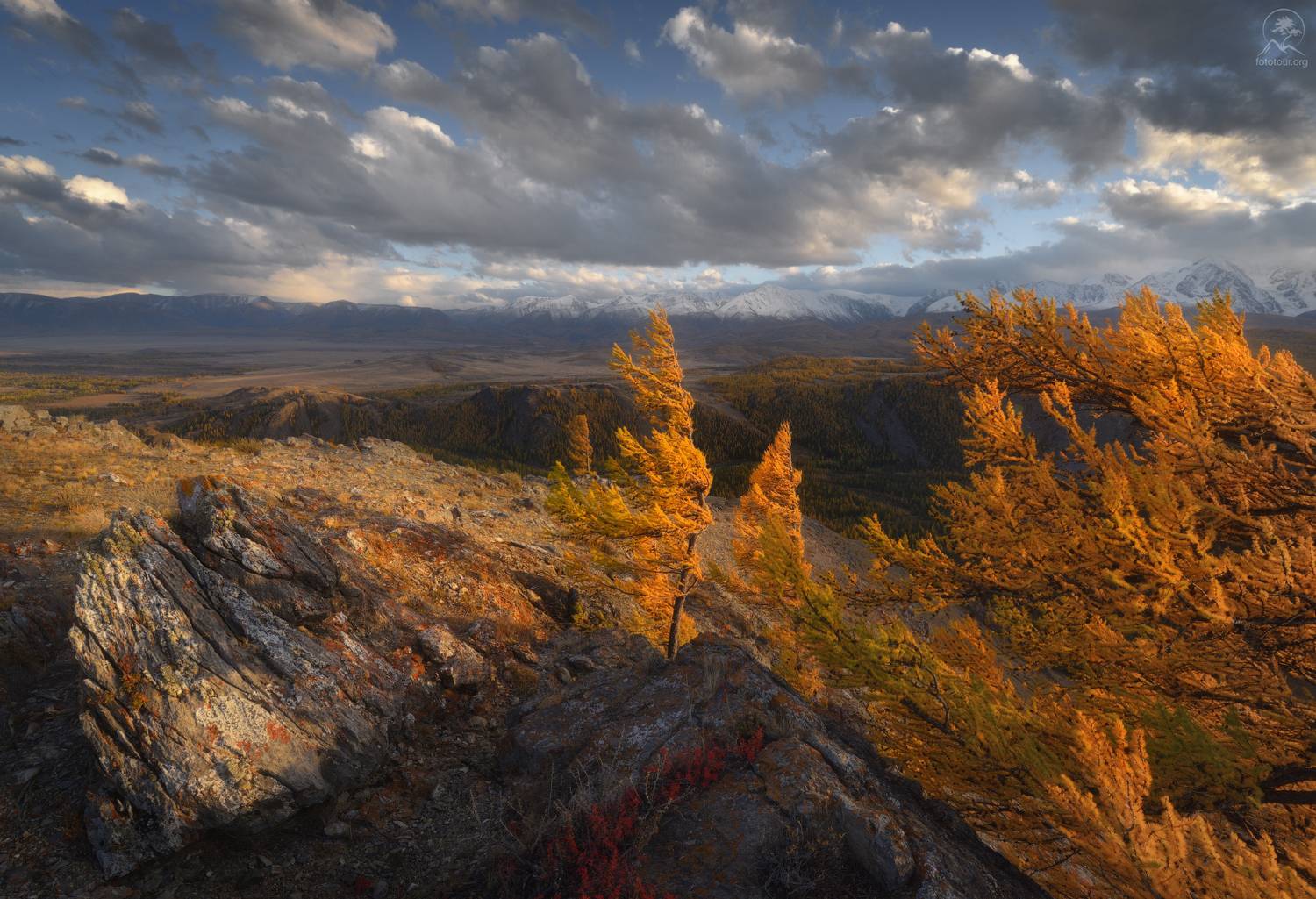 алтай, лиственницы, осень, горы, горный алтай, республика алтай, чуйский тракт, фототур на алтай, осенний фототур на алтай, Гордиенко Анатолий