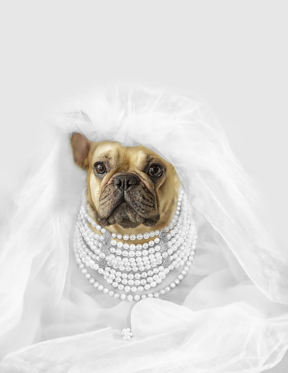 , Софронова Ольга