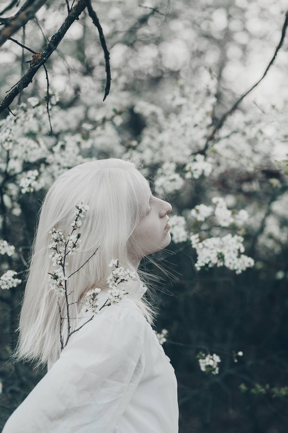 35mm, 4x5, 6x6, 6х6, 85mm, Art, Artnude, Ballerina, Ballet, Battur, Beautiful, Beauty, Canon, Canon 5D Mark III, Car, Color, Dance, Dress, Emotion, Eyes, Face, Flowers, Ganzo, Genre, GirlHair, Hero,LightLilac, Model, Mongol, Mongolia, Вероника Гергерт