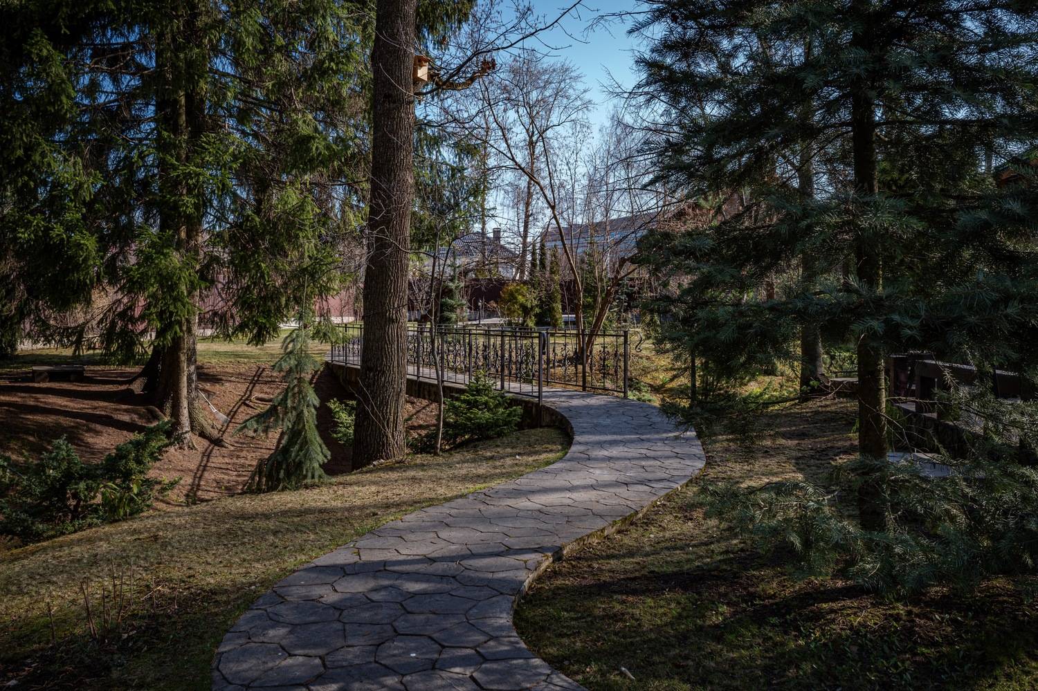 , Курлянцев Алексей