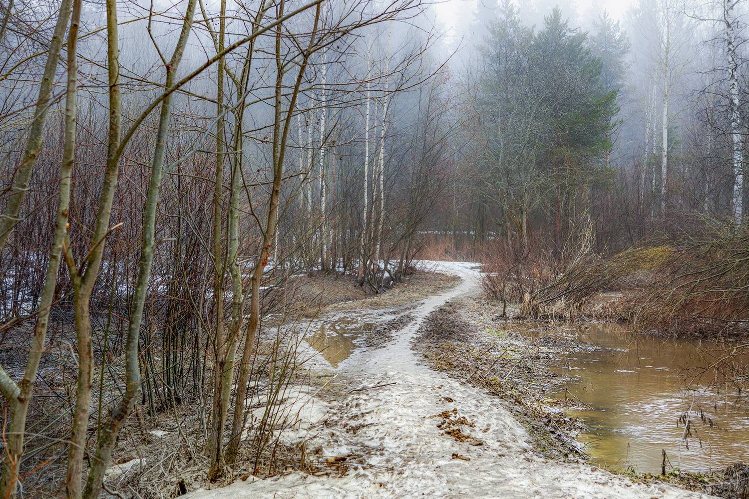 ,  александр михайлов