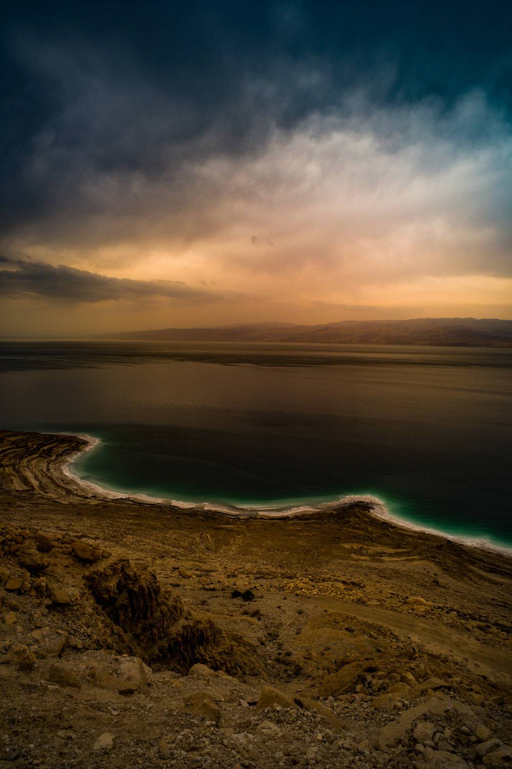 , David Solodar