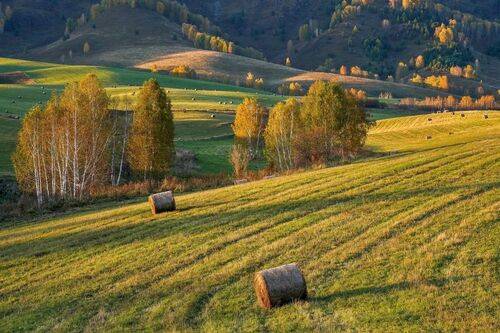 Камлак - август