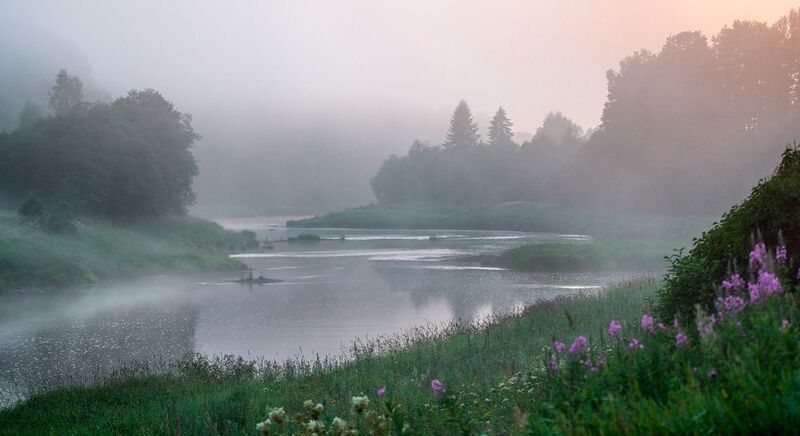 Две ели... фото превью