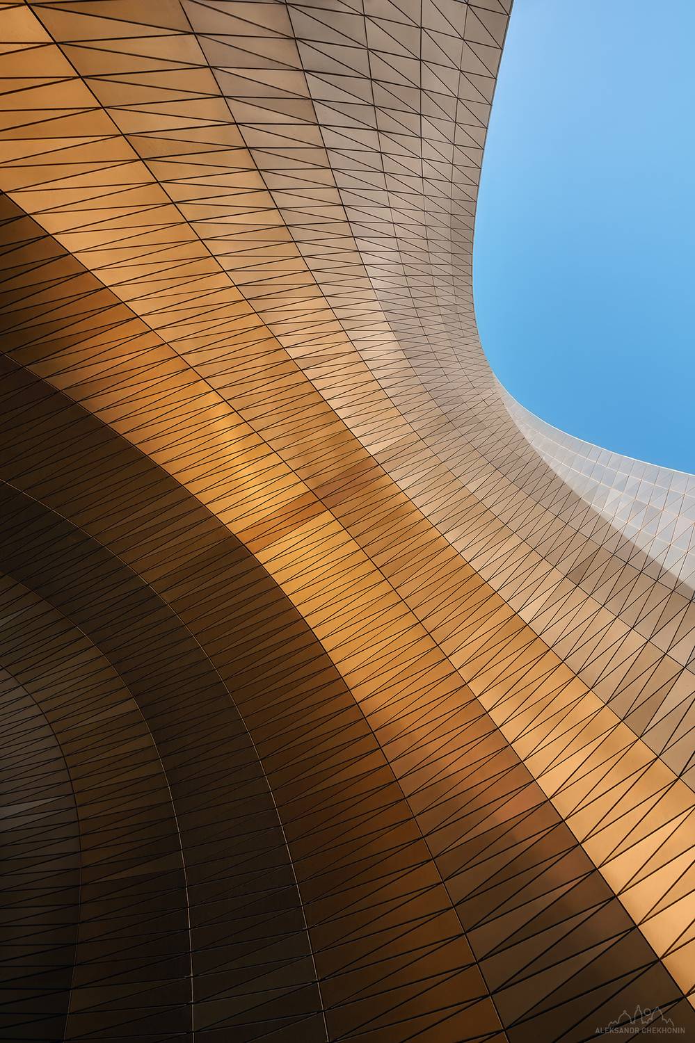 , Чехонин Александр