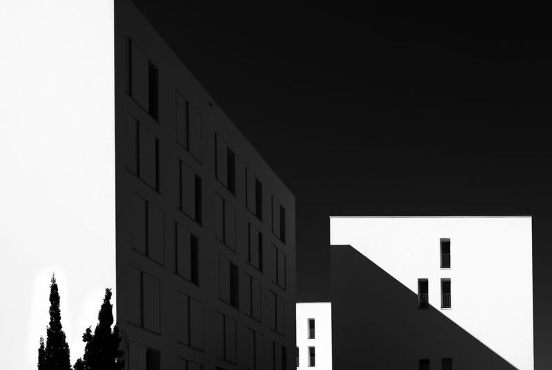 Metaphysical with 2 cypress trees фото превью