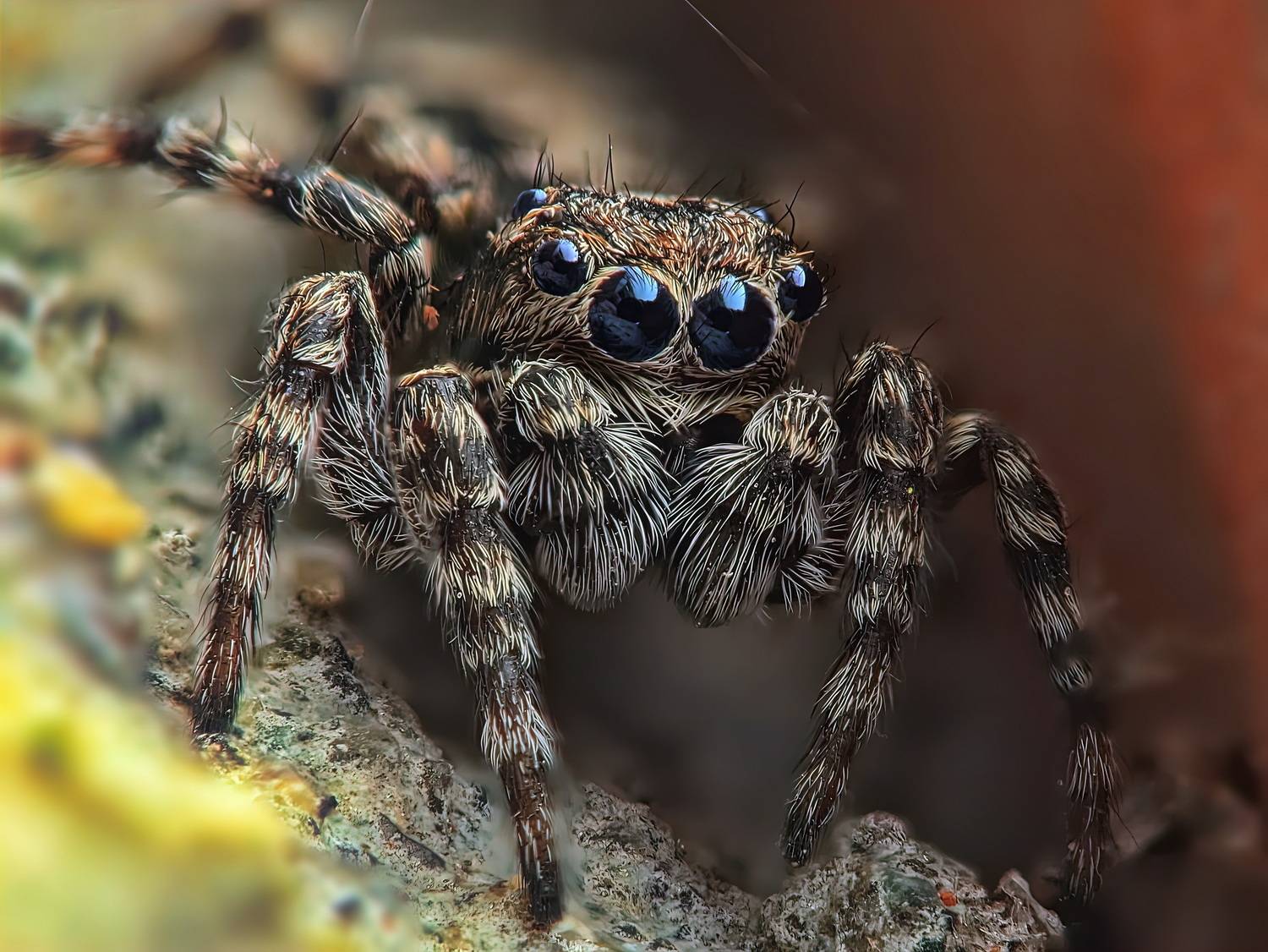 , Кузнецов Дмитрий