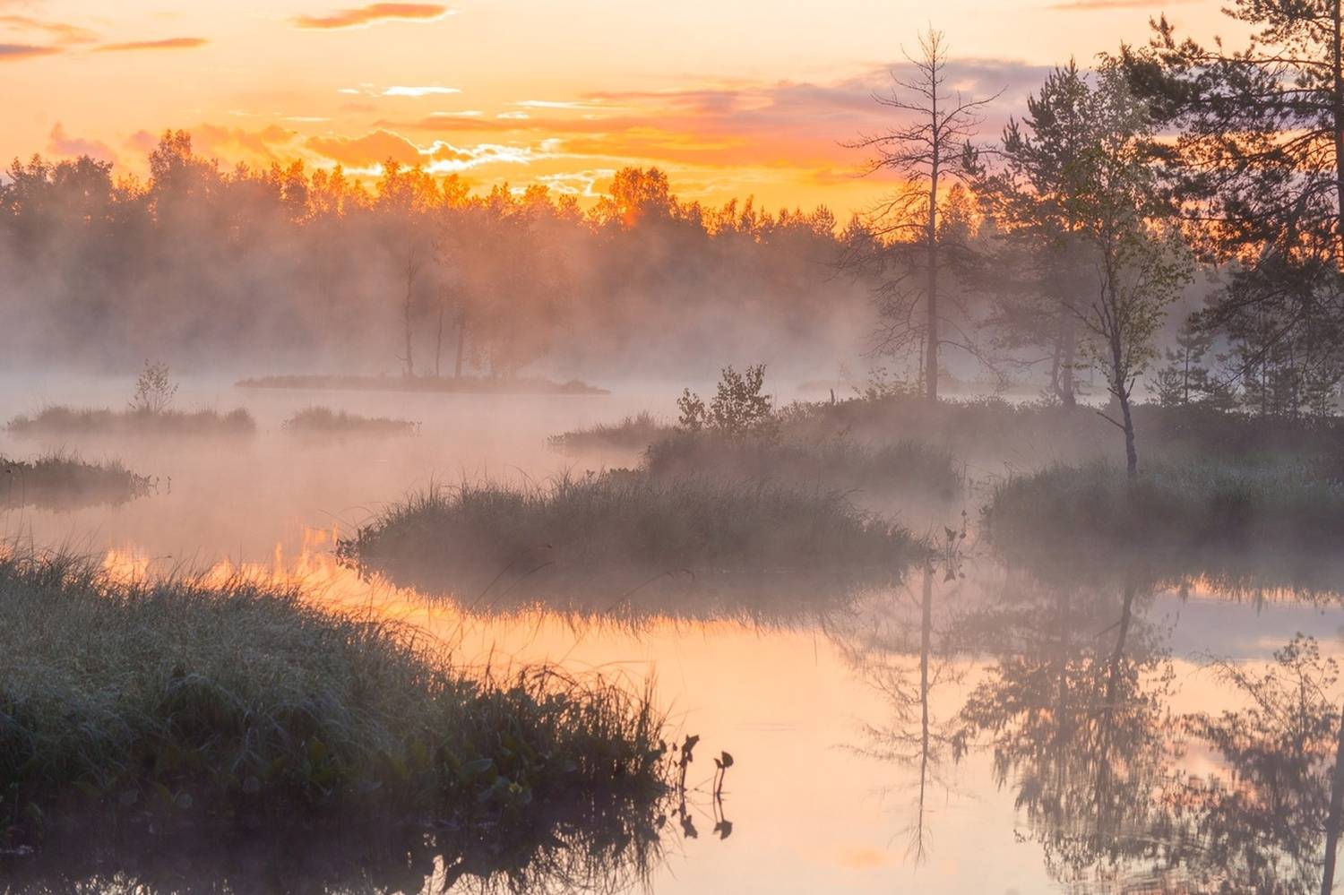 , Петр Косых