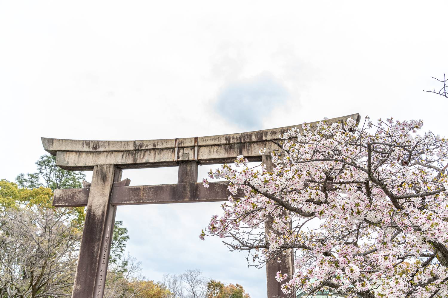 Япония, Осака, Михаил