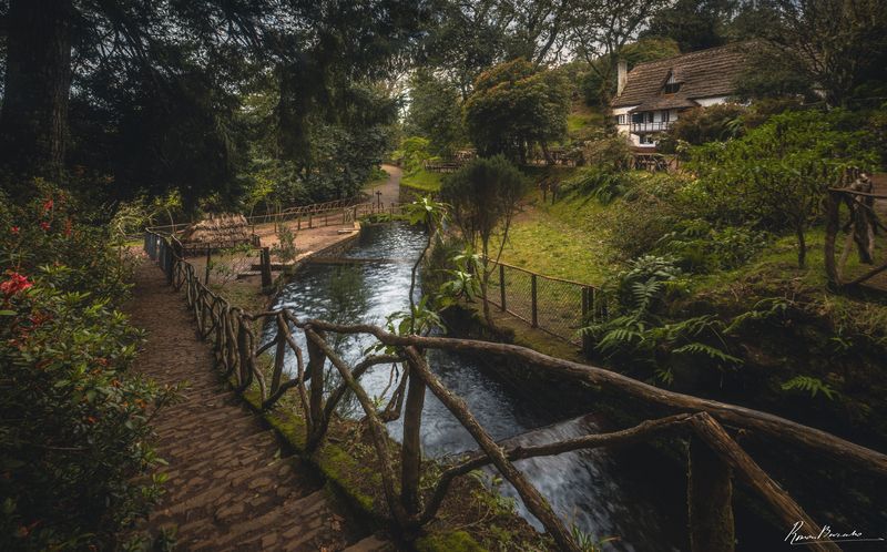 madeira, landscape, house, village, countryside Madeira landscapes фото превью