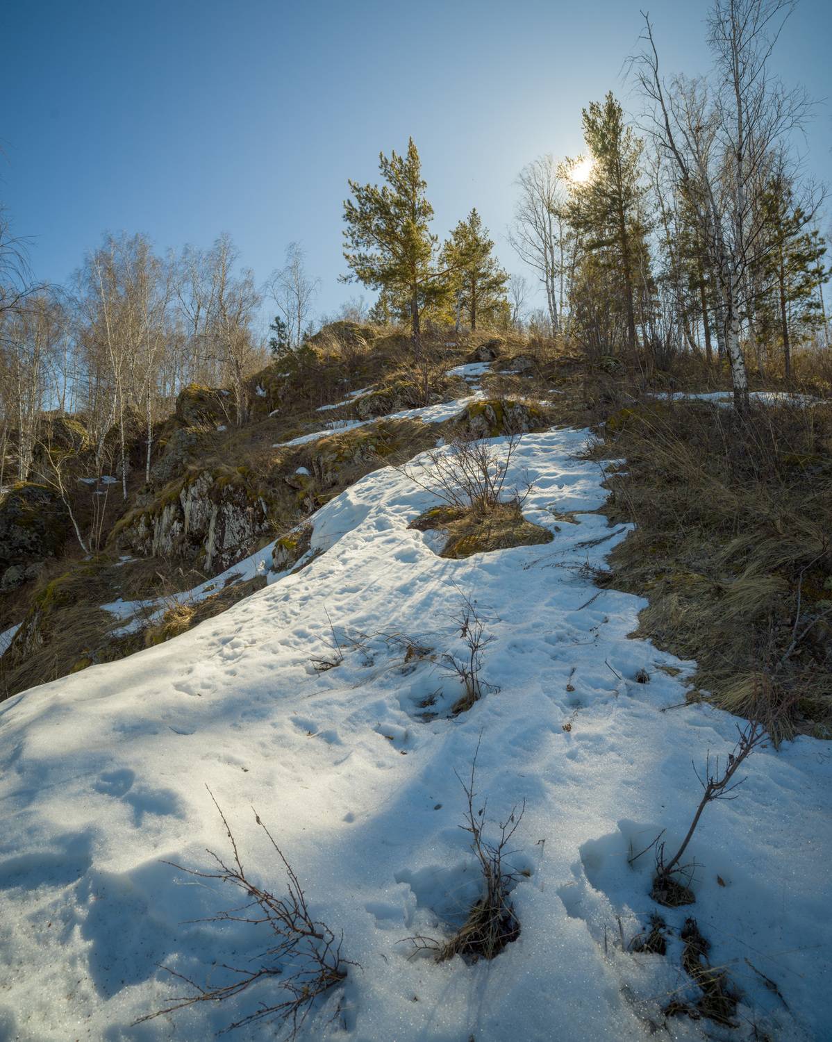 , Шустиков Дмитрий